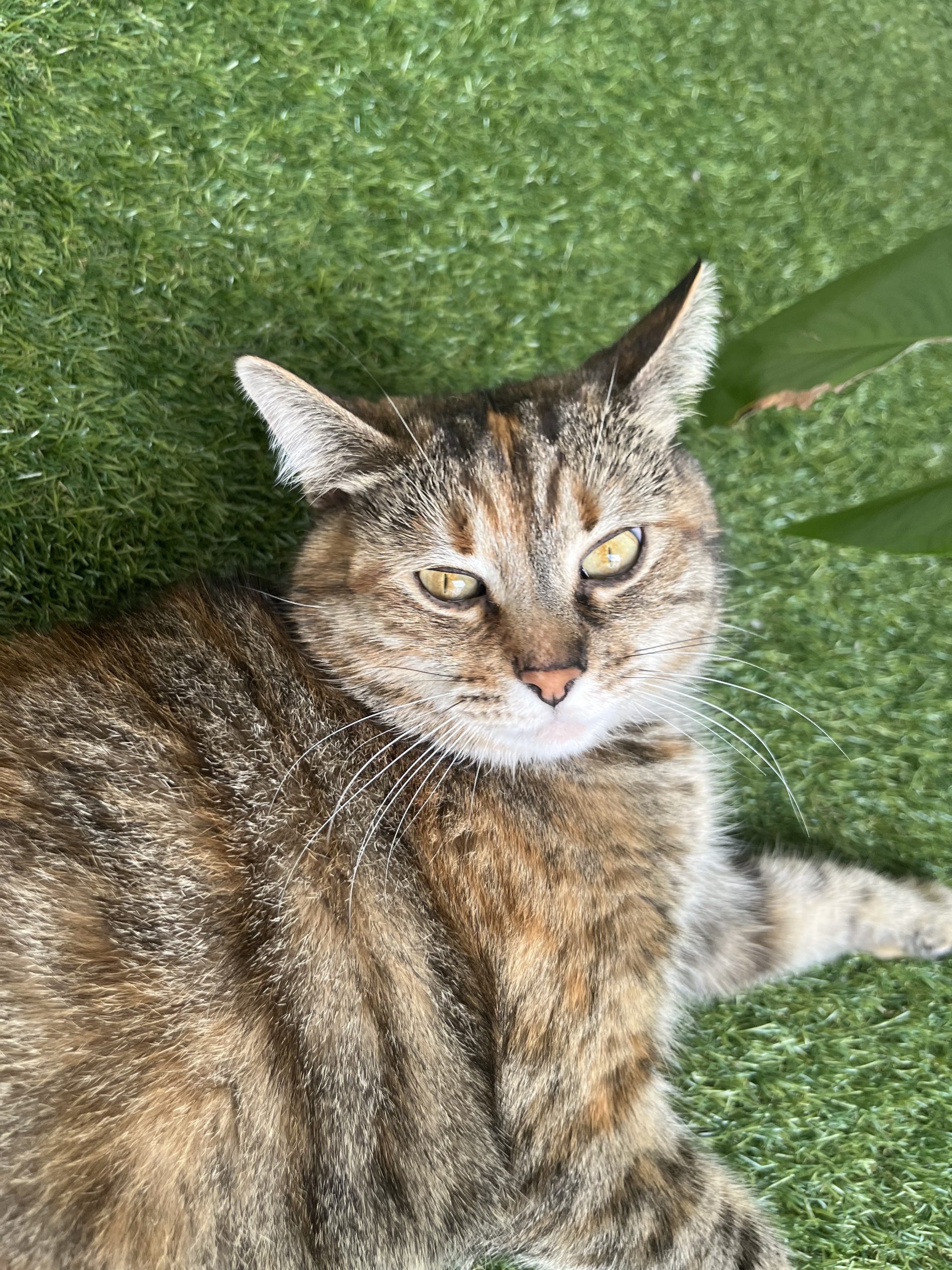 Eleanor